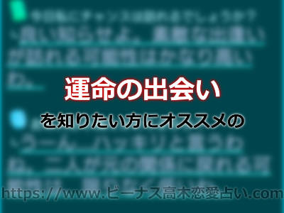 ビーナス高木の占いで恋の行方を予言！これってホントに運命なの？